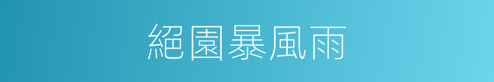 絕園暴風雨的同義詞