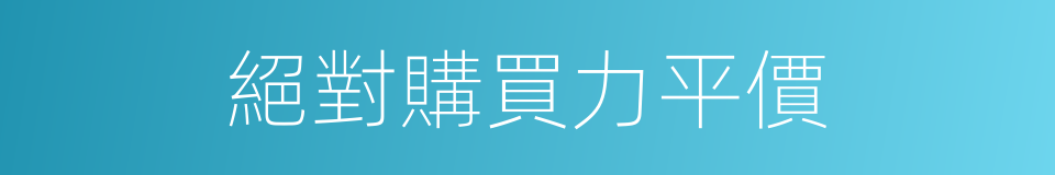 絕對購買力平價的同義詞