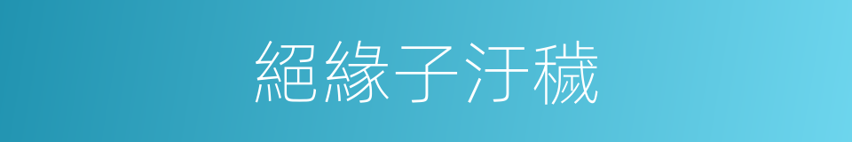 絕緣子汙穢的同義詞