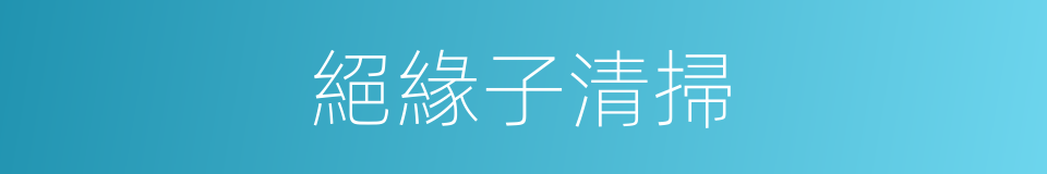 絕緣子清掃的同義詞