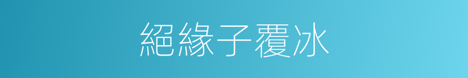 絕緣子覆冰的同義詞