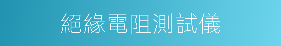 絕緣電阻測試儀的同義詞