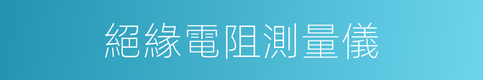 絕緣電阻測量儀的同義詞