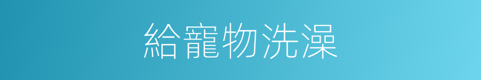 給寵物洗澡的同義詞