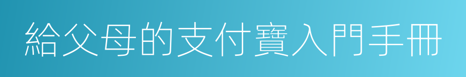 給父母的支付寶入門手冊的同義詞