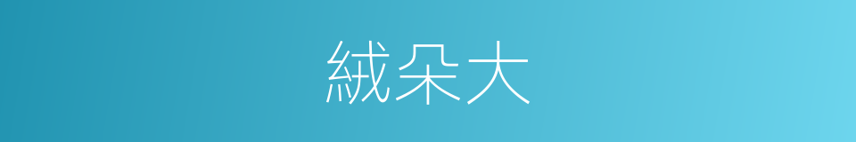 絨朵大的同義詞