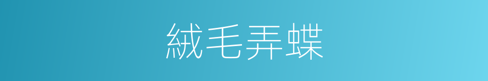 絨毛弄蝶的同義詞