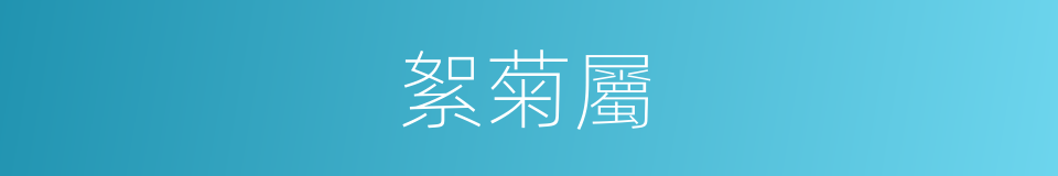 絮菊屬的同義詞