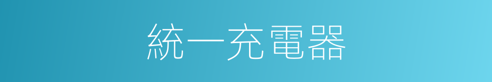 統一充電器的同義詞