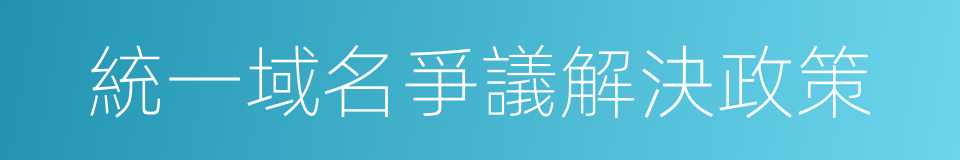 統一域名爭議解決政策的同義詞