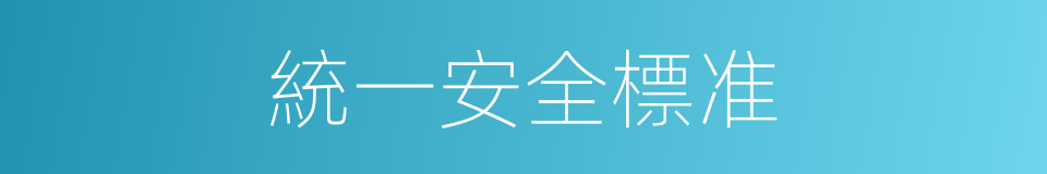 統一安全標准的同義詞