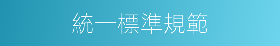 統一標準規範的同義詞