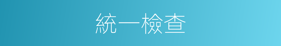 統一檢查的同義詞