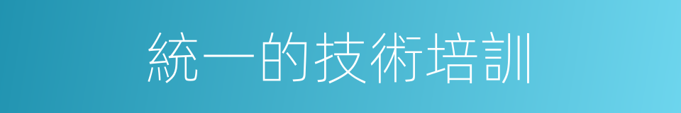 統一的技術培訓的同義詞