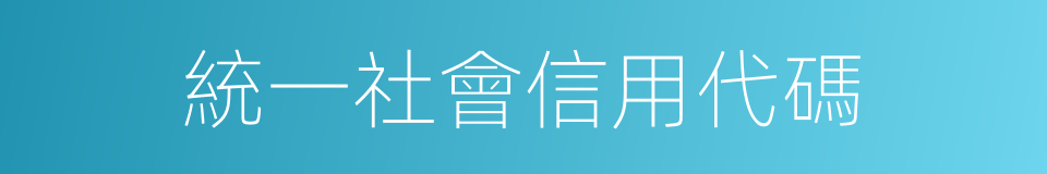 統一社會信用代碼的同義詞