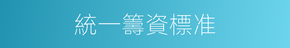 統一籌資標准的同義詞