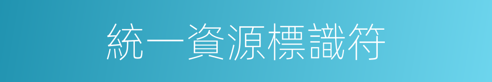 統一資源標識符的同義詞