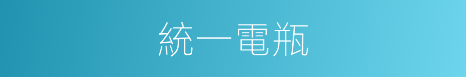 統一電瓶的同義詞