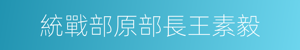 統戰部原部長王素毅的同義詞