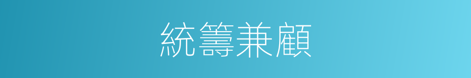 統籌兼顧的意思