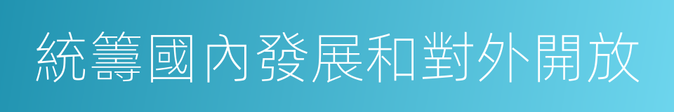 統籌國內發展和對外開放的同義詞