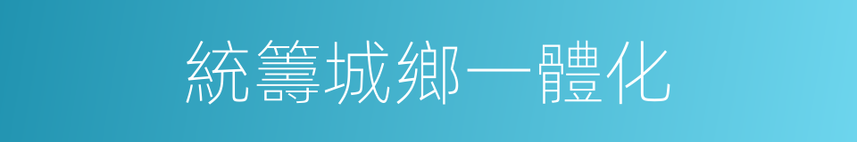 統籌城鄉一體化的同義詞