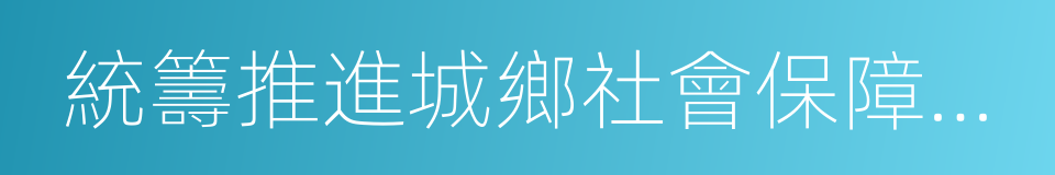 統籌推進城鄉社會保障體系建設的同義詞