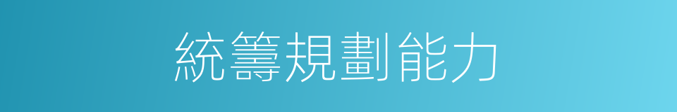 統籌規劃能力的同義詞