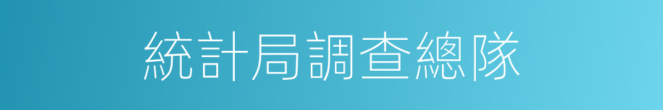 統計局調查總隊的同義詞