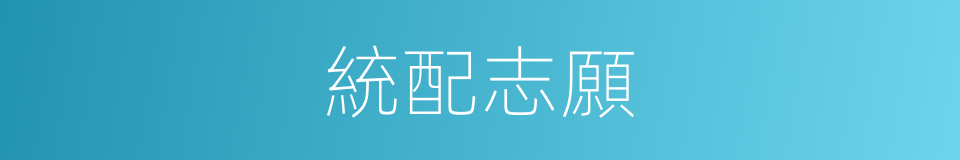 統配志願的同義詞