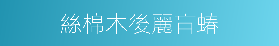 絲棉木後麗盲蝽的同義詞