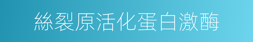 絲裂原活化蛋白激酶的同義詞