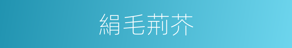 絹毛荊芥的同義詞