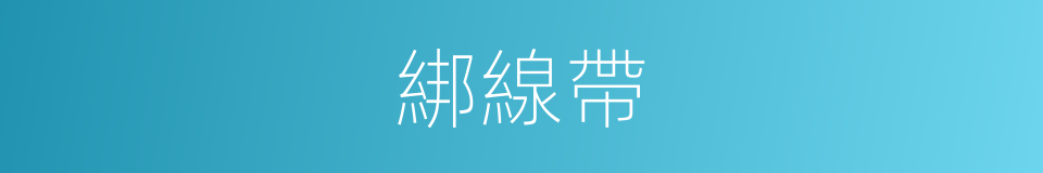 綁線帶的同義詞