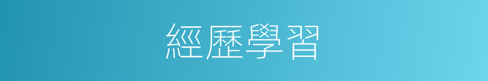 經歷學習的同義詞