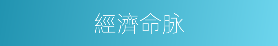 經濟命脉的同義詞