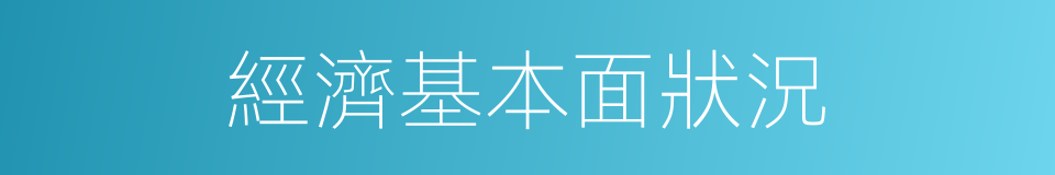 經濟基本面狀況的同義詞