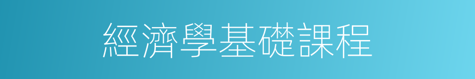 經濟學基礎課程的同義詞