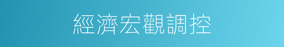 經濟宏觀調控的同義詞