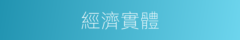 經濟實體的意思
