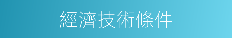 經濟技術條件的同義詞