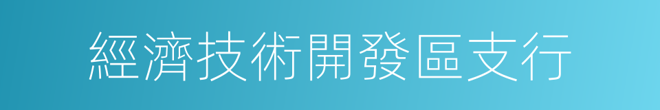 經濟技術開發區支行的同義詞