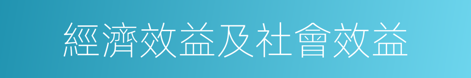 經濟效益及社會效益的同義詞