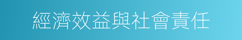 經濟效益與社會責任的同義詞