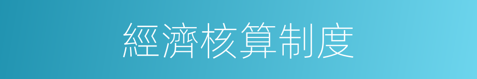 經濟核算制度的同義詞