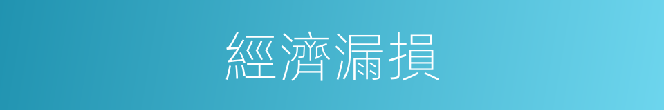 經濟漏損的同義詞