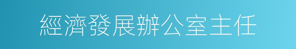 經濟發展辦公室主任的同義詞