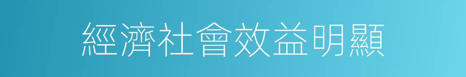 經濟社會效益明顯的同義詞