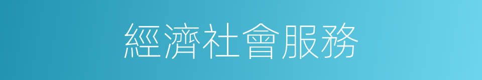 經濟社會服務的同義詞