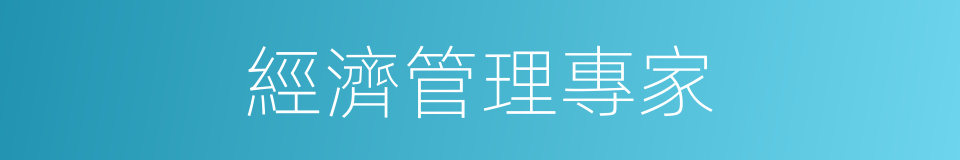 經濟管理專家的同義詞